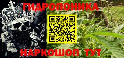 ALPHA PVP Пугачёв